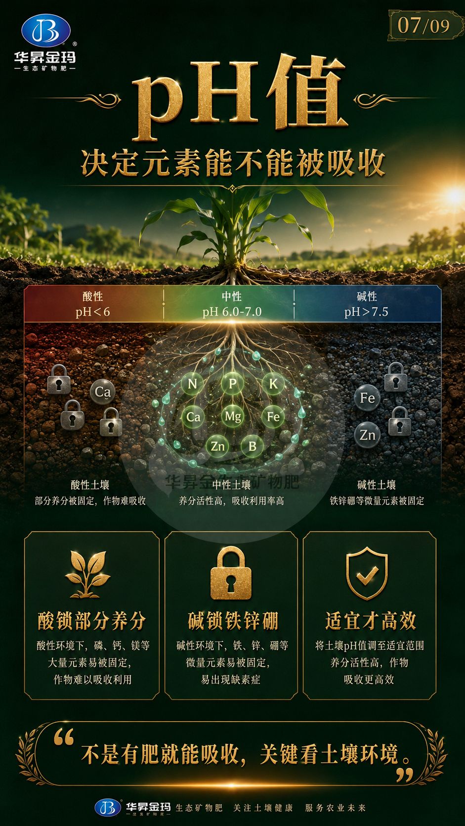华昇金玛系列海报:pH 值