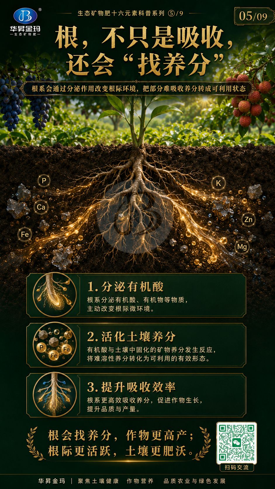 华昇金玛系列海报:根不只是吸收,还会找养分