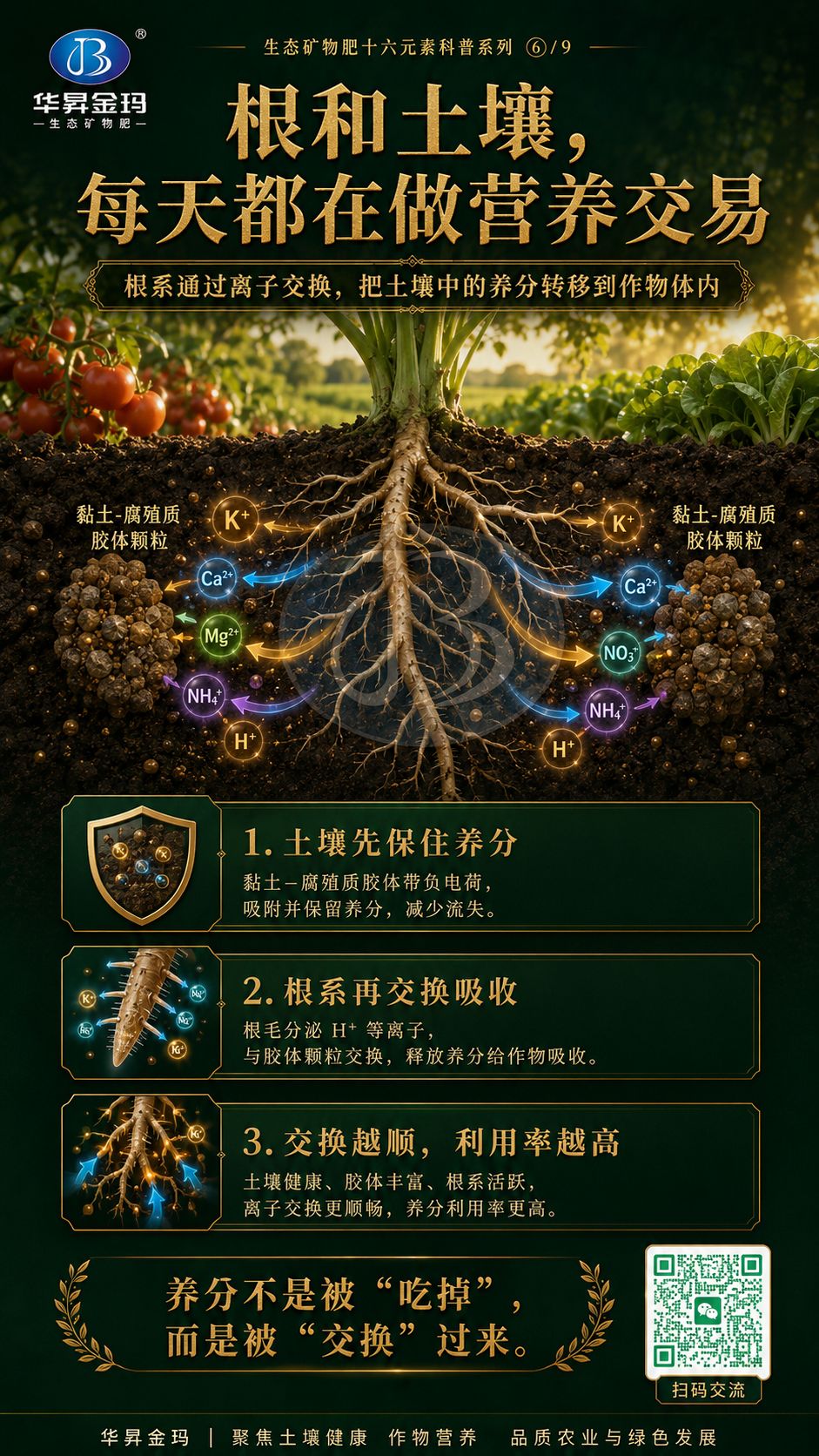 华昇金玛系列海报:根和土壤,每天都在做营养交易