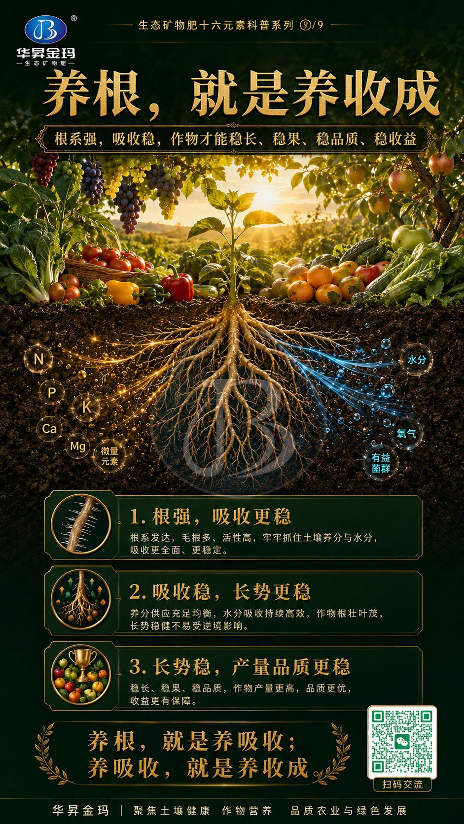 华昇金玛系列海报:养根,就是养收成