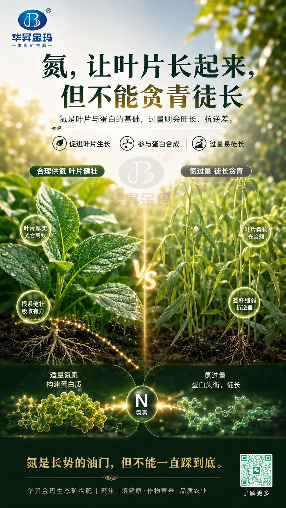 华昇金玛系列海报:氮,让叶片长起来,但不能贪青徒长