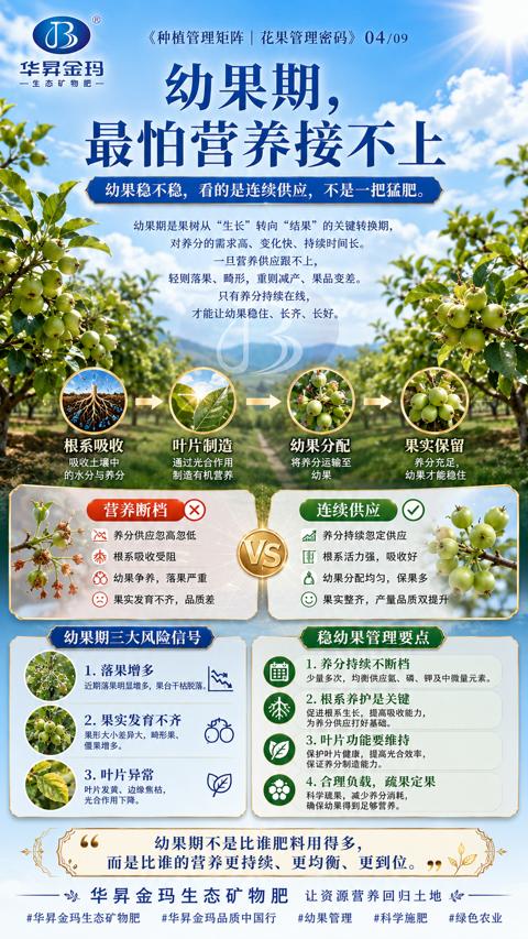 幼果期（幼果稳不稳，看的是连续供应，不是一把猛肥）｜华昇金玛植保系统课技术图