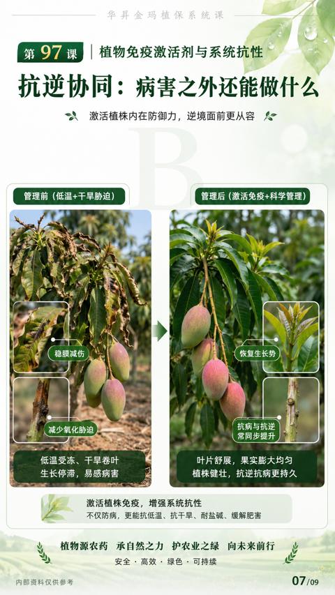 抗逆协同：病害之外还能做什么（不仅防病，更能抗低温、抗干旱、耐盐碱、缓解肥害）｜华昇金玛植保系统课技术图