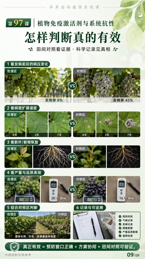 怎样判断真的有效（整体长势、叶色、挂果量差异明显）｜华昇金玛植保系统课技术图