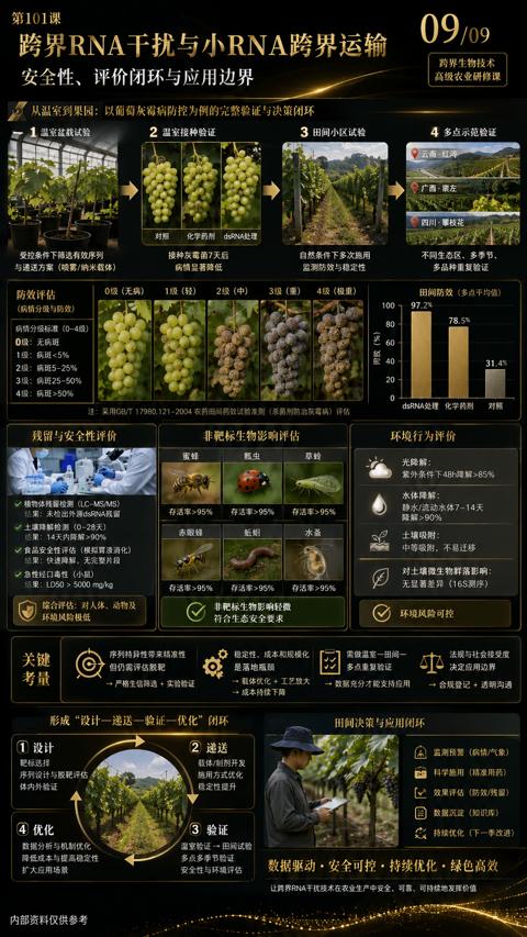 跨界RNA千扰与小RNA跨界运输（从温室到果园）｜华昇金玛植保系统课技术图