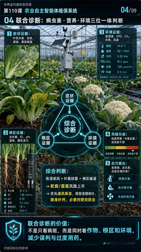 不是只看病斑，而是同时看作物、根区和环境｜华昇金玛植保系统课技术图