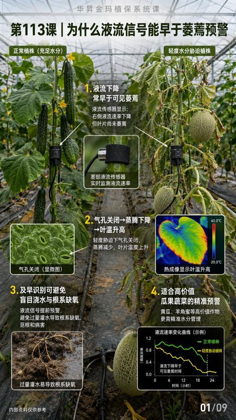 第113课|为什么液流信号能早于菱蔫预警（避免过量灌水导致根系缺氧）｜华昇金玛植保系统课技术图