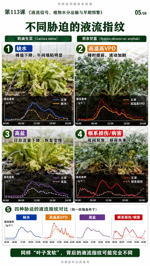 不同胁迫的液流指纹（第113课《液流信号、植物水分运输与早期预警）｜华昇金玛植保系统课技术图
