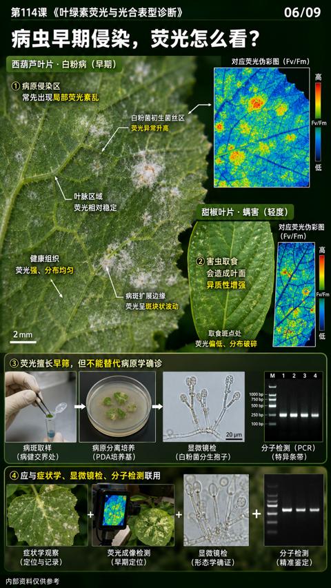 病虫早期侵染，荧光怎么看（第114课《叶绿素荧光与光合表型诊断）｜华昇金玛植保系统课技术图