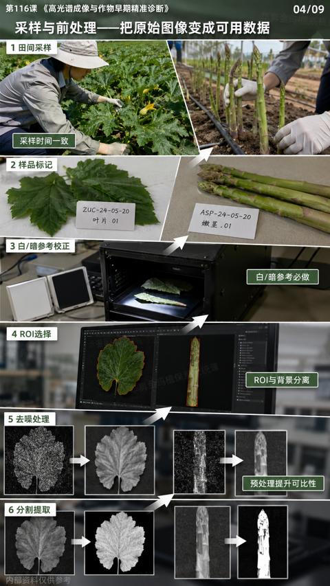 采样与前处理—把原始图像变成可用数据（第116课《高光谱成像与作物早期精准诊断）｜华昇金玛植保系统课技术图