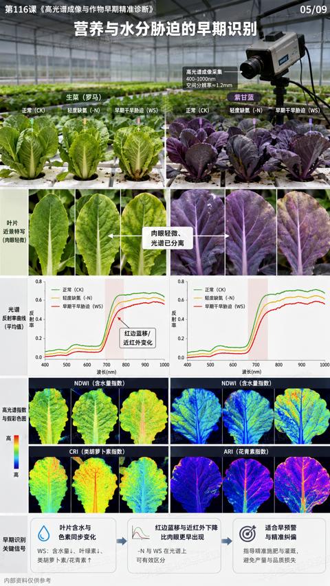 营养与水分胁迫的早期识别（第116课《高光谱成像与作物早期精准诊断）｜华昇金玛植保系统课技术图