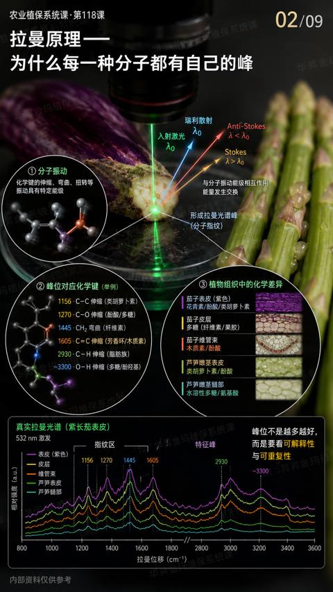 华專金玛植保系统课（为什么每一种分子都有自己的峰）｜华昇金玛植保系统课技术图