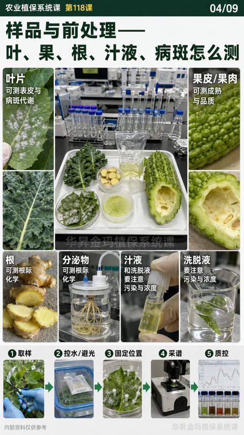 叶、果、根、汁液、病斑怎么测｜华昇金玛植保系统课技术图
