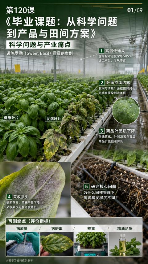 毕业课题：从科学问题（夜间与清晨叶面结露时间长）｜华昇金玛植保系统课技术图