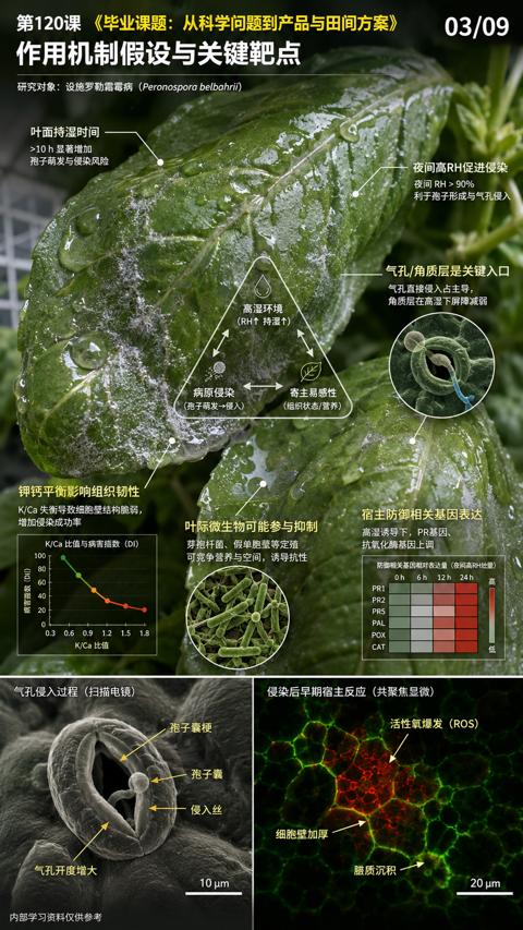 作用机制假设与关键靶点（毕业课题）｜华昇金玛植保系统课技术图