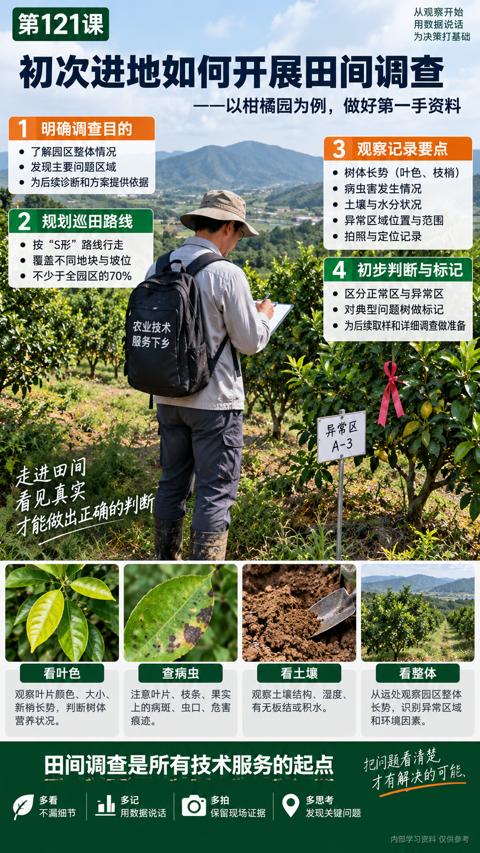 才能做出正确的判断（田间调查是所有技术服务的起点）｜华昇金玛植保系统课技术图