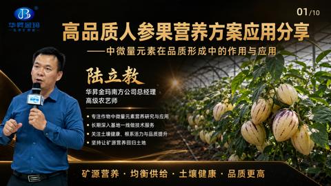 高品质人参果营养方案应用分享（专注作物中微量元素营养研究与应用）｜华昇金玛植保系统课技术图