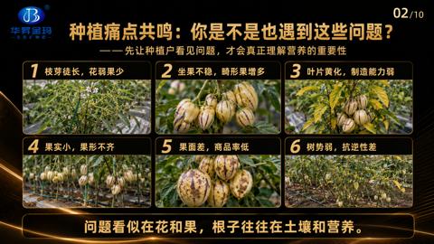 种植痛点共鸣：你是不是也遇到这些问题（问题看似在花和果，根子往往在土壤和营养）｜华昇金玛植保系统课技术图