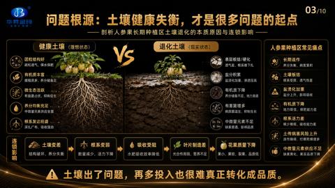 问题根源：土壤健康失衡，才是很多问题的起点｜华昇金玛植保系统课技术图