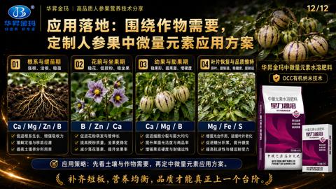 应用落地：围绕作物需要（应用策略）｜华昇金玛植保系统课技术图