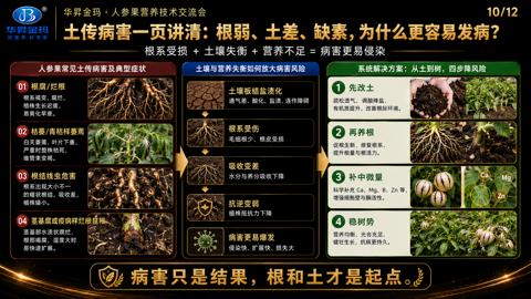 土传病害一页讲清：根弱、土差、缺素，为什么更容易发病｜华昇金玛植保系统课技术图