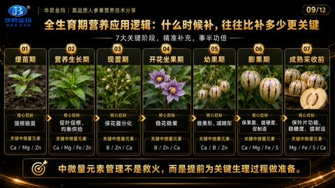 全生育期营养应用逻辑：什么时候补，往往比补多少更关键（中微量元素管理不是救火，而是提前为关键生理过程做准备）｜华昇金玛植保系统课技术图