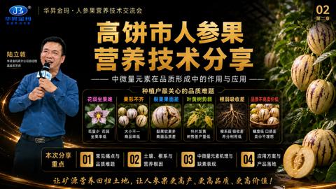 营养技术分享（让矿源营养回归土地，让人参果更高产、更高品质、更高价值）｜华昇金玛植保系统课技术图