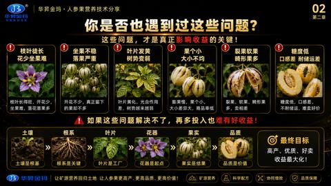你是否也遇到过这些问题（如果这些问题解决不了，再多投入也难有好收益）｜华昇金玛植保系统课技术图