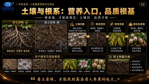 土壤与根系：营养入口，品质根基（根系强，才能吸得足；土壤好，品质才稳）｜华昇金玛植保系统课技术图