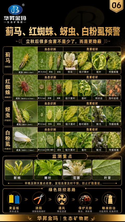 蓟马、红蜘蛛、蚜虫、白粉虱预警（早晚及阴天重点巡查，发现虫害及时干预，防止扩散蔓延）｜华昇金玛植保系统课技术图