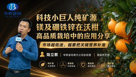 科技小巨人纯矿源（市场越低迷，越要把关键营养补准）｜华昇金玛植保系统课技术图
