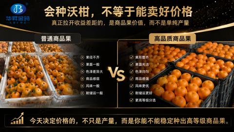 Vs（今天决定价格的，不只是产量，而是你能不能稳定种出高等级商品果）｜华昇金玛植保系统课技术图