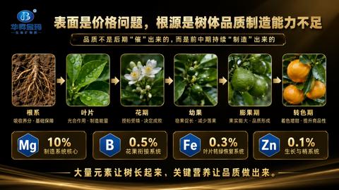 表面是价格问题，根源是树体品质制造能力不足｜华昇金玛植保系统课技术图