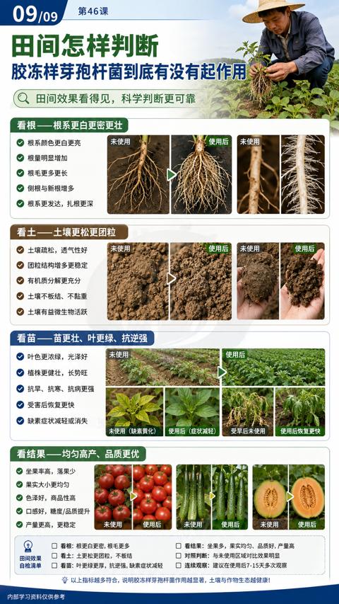 田间怎样判断（口 连续观察）｜华昇金玛植保系统课技术图