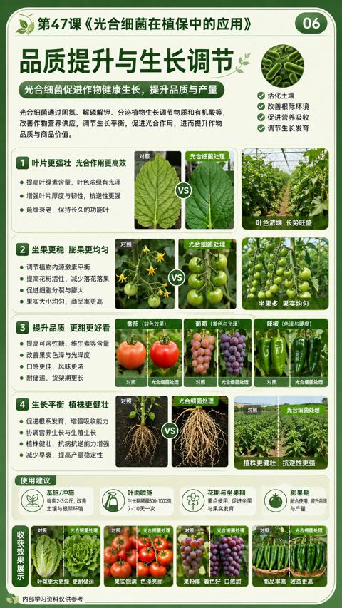 品质提升与生长调节（光合细菌通过固氮、解磷解钾、分泌植物生长调节物质和有机酸等）｜华昇金玛植保系统课技术图