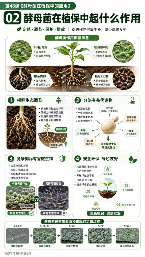 02 酵母菌在植保中起什么作用（第48课《酵母菌在植保中的应用）｜华昇金玛植保系统课技术图