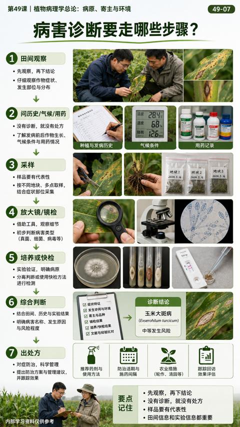 病害诊断要走哪些步骤｜华昇金玛植保系统课技术图