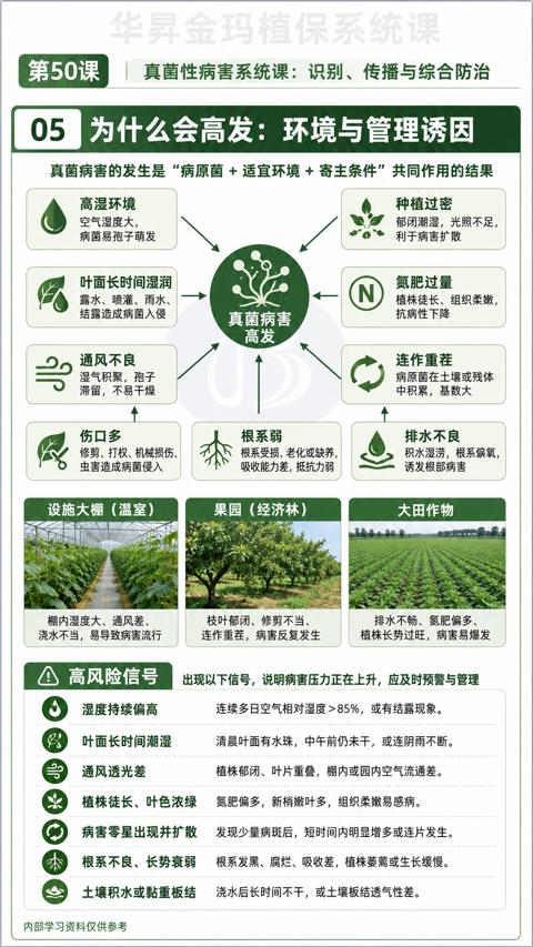 为什么会高发：环境与管理诱因（出现以下信号，说明病害压力正在上升，应及时预警与管理）｜华昇金玛植保系统课技术图