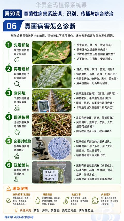 真菌病害怎么诊断（科学诊断是有效防治的前提。建议按以下流程操作，逐步锁定病害类型与发生原因）｜华昇金玛植保系统课技术图