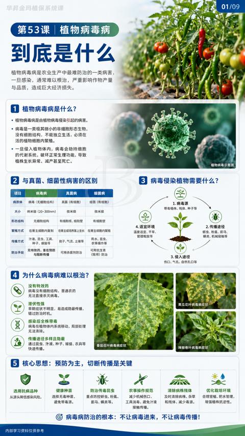 到底是什么（植物病毒病是农业生产中最难防治的一类病害）｜华昇金玛植保系统课技术图