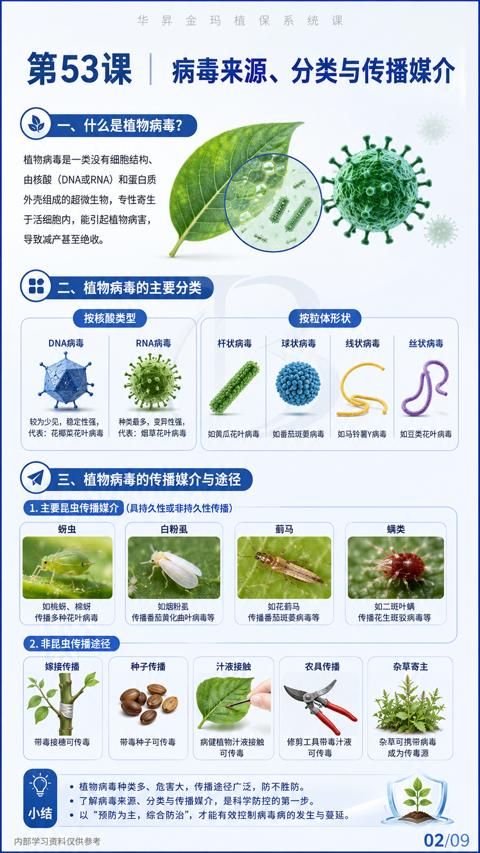 第53课 |病毒来源、分类与传播媒介（以“预防为主，综合防治”，才能有效控制病毒病的发生与蔓延）｜华昇金玛植保系统课技术图