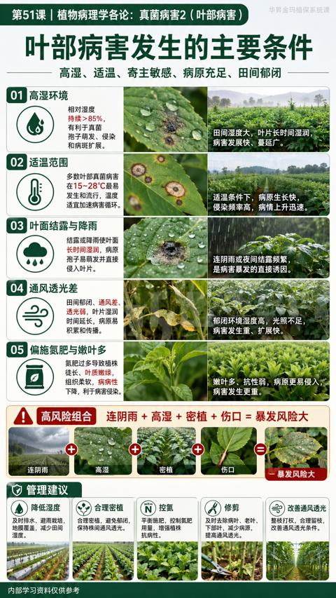 叶部病害发生的主要条件（高湿、适温、寄主敏感、病原充足、田间郁闭）｜华昇金玛植保系统课技术图