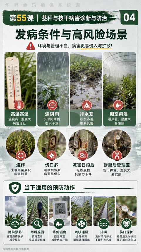 发病条件与高风险场景（环境与管理不当，病害更易侵入与扩散）｜华昇金玛植保系统课技术图