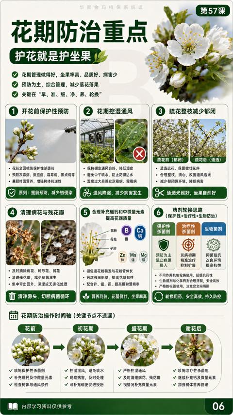 花期防治重点（花期防治操作时间轴（关键节点不遗漏））｜华昇金玛植保系统课技术图