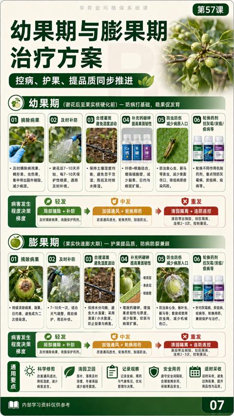 治疗方案（及时摘除病果，喷腌保护药剂）｜华昇金玛植保系统课技术图