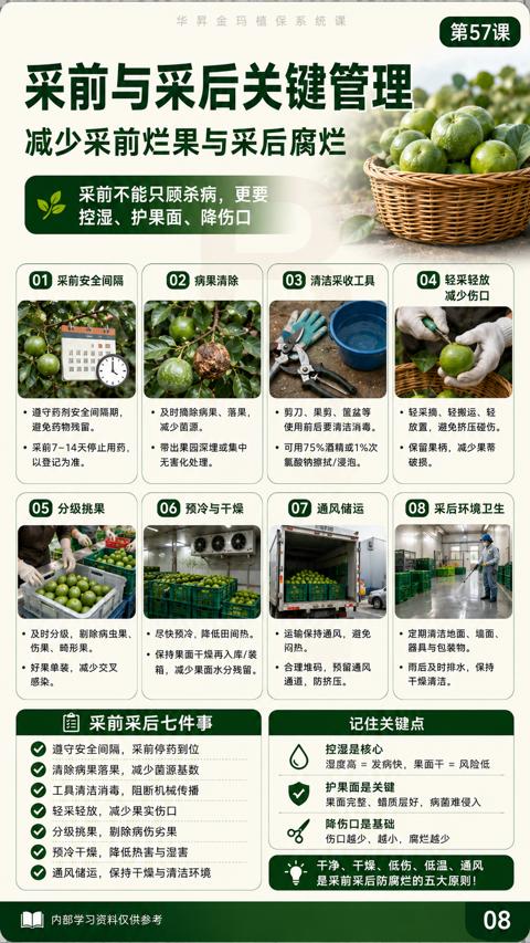 采前与采后关键管理（果面完整、蜡质层好，病菌难侵入）｜华昇金玛植保系统课技术图