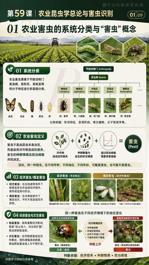 01 农业害虫的系统分类与“害虫”概念（因此，同一种昆虫，在不同作物、不同地区、不同年份，可能是害虫，也可能不是害虫）｜华昇金玛植保系统课技术图