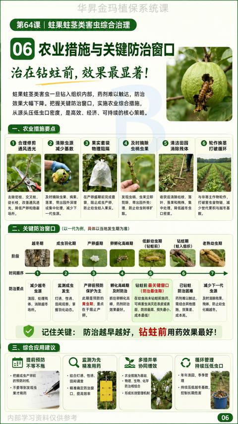 治在钻蛀前，效果最显著（从源头压低虫口密度，是高效、经济、可持续的核心策略）｜华昇金玛植保系统课技术图