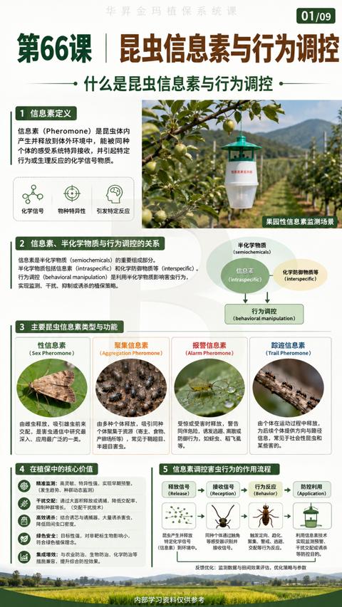 第66课 昆虫信息素与行为调控（行为调控（behavioral manipulation）是利用半化学物质影响害虫行为）｜华昇金玛植保系统课技术图