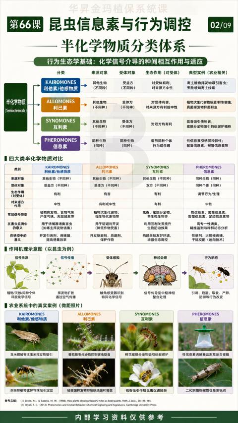 昆虫信息素与行为调控（行为生态学基础）｜华昇金玛植保系统课技术图